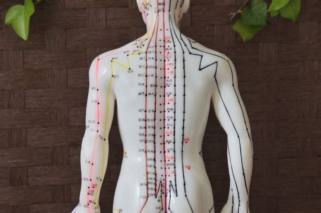 循環器系の症状には心兪（しんゆ）のツボが効果的！場所・押し方や効能を紹介 | HOGUGU（ホググ）