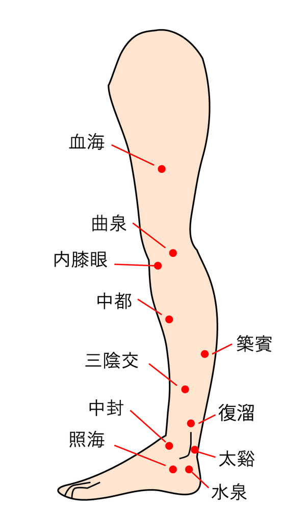 【図解】すねのツボ一覧｜内側・外側が痛い原因は？豊隆・足三里・地機など紹介 | HOGUGU（ホググ）